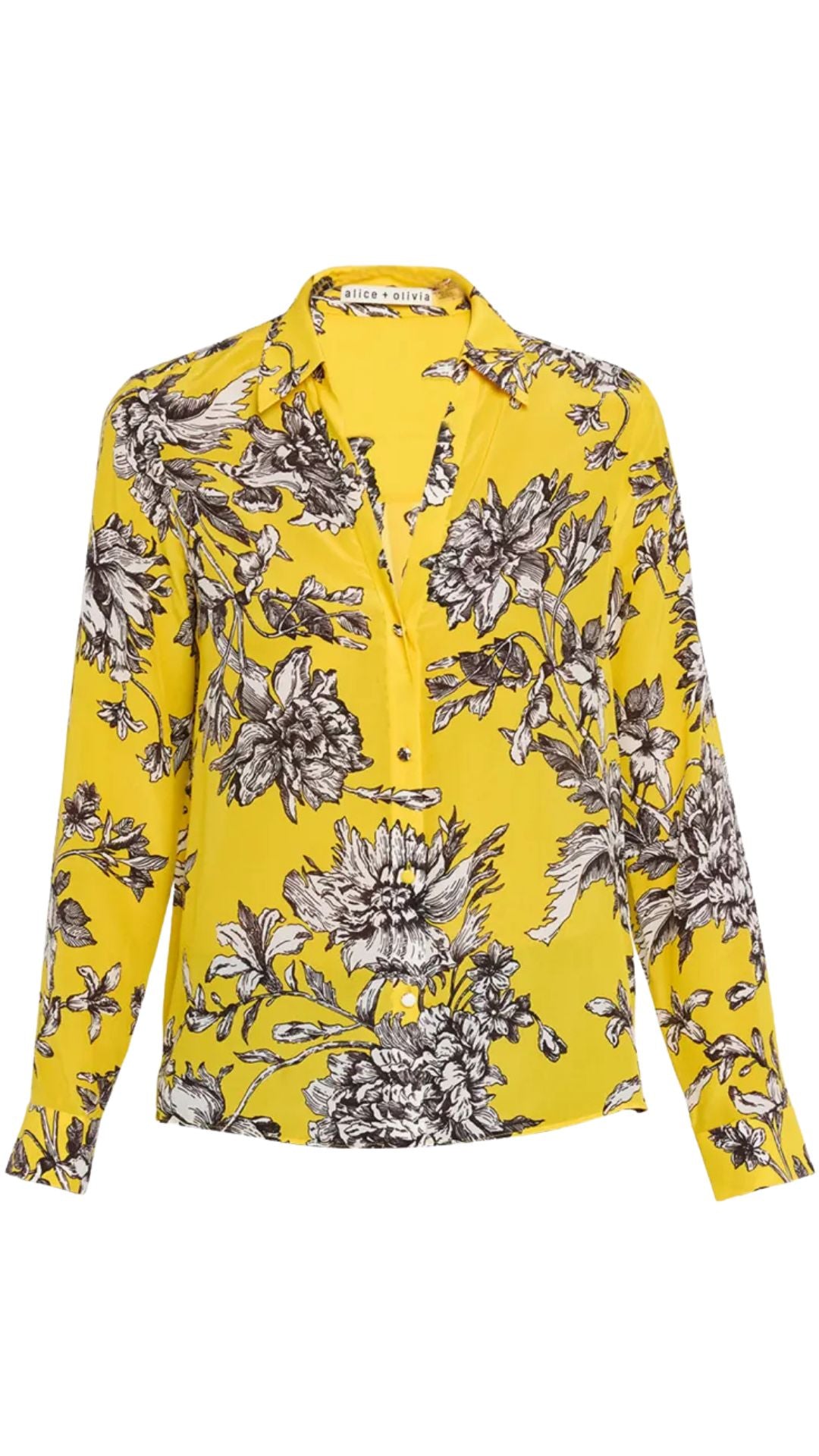 Eloise Button Down Blouse