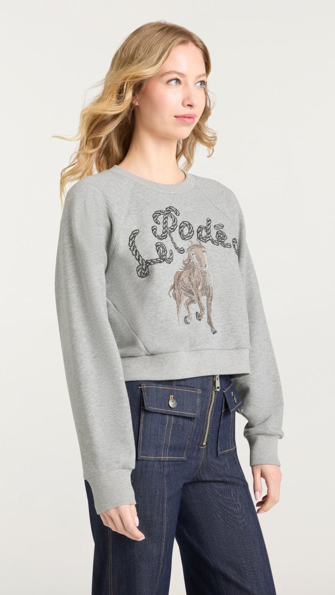 Le Rodeo Jennifer Pullover - Cinq a Sept