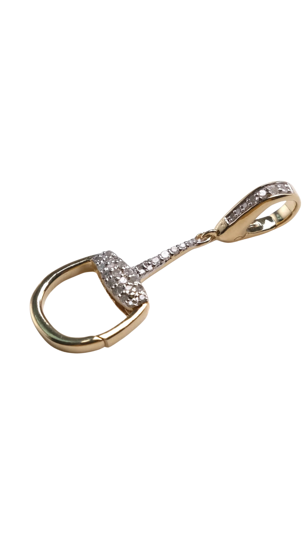 Horse Bit Clip