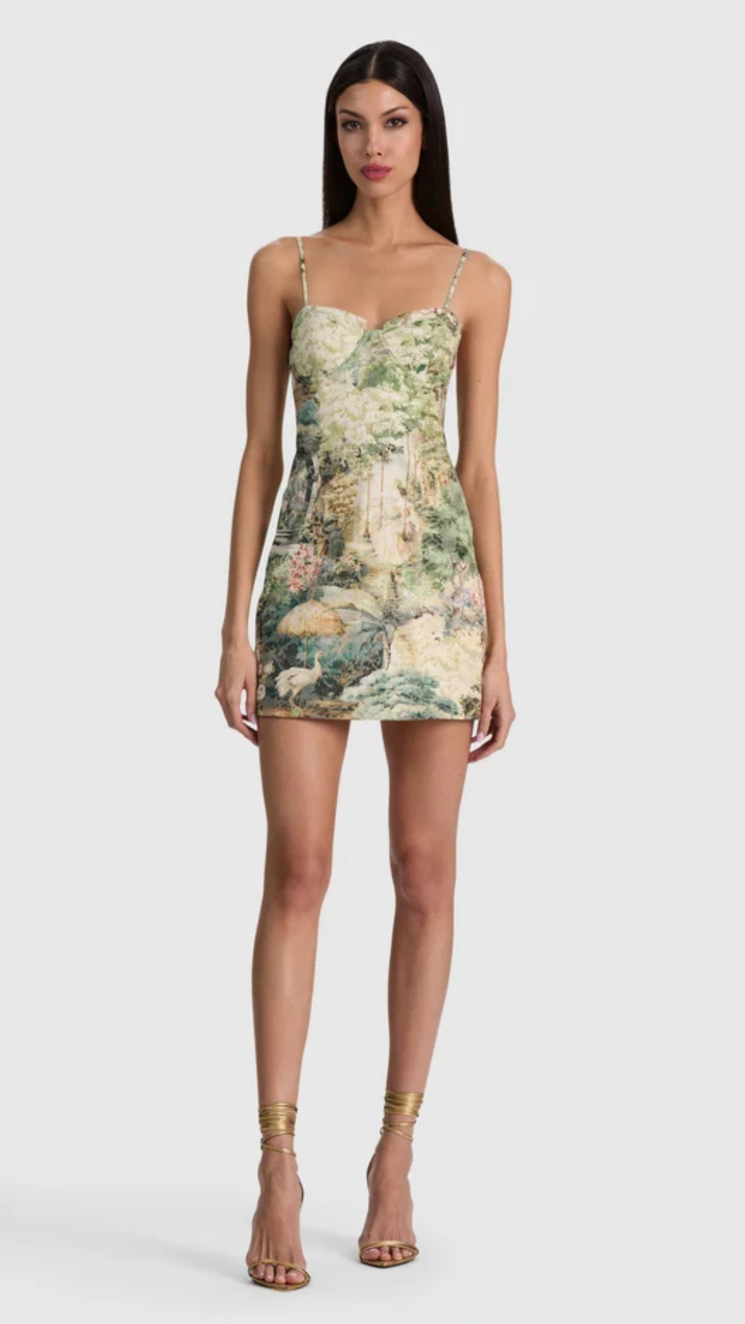 Nila Corset Mini Dress